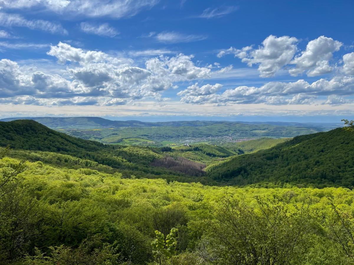 Ferienwohnung Am Kalkweg Бад-Зоден-Аллендорф Экстерьер фото