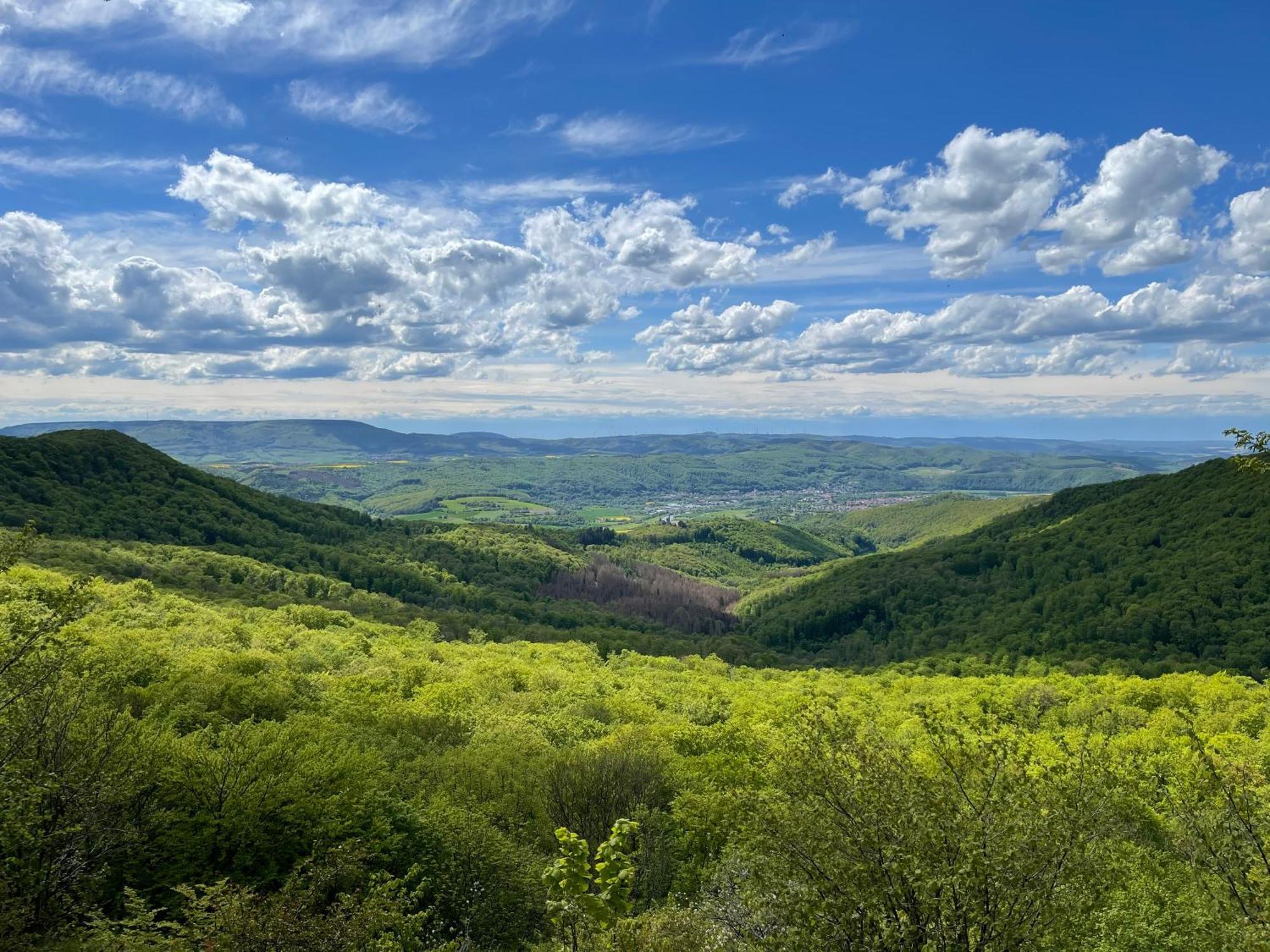 Ferienwohnung Am Kalkweg Бад-Зоден-Аллендорф Экстерьер фото